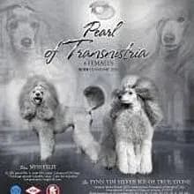Pearl of Transnistria