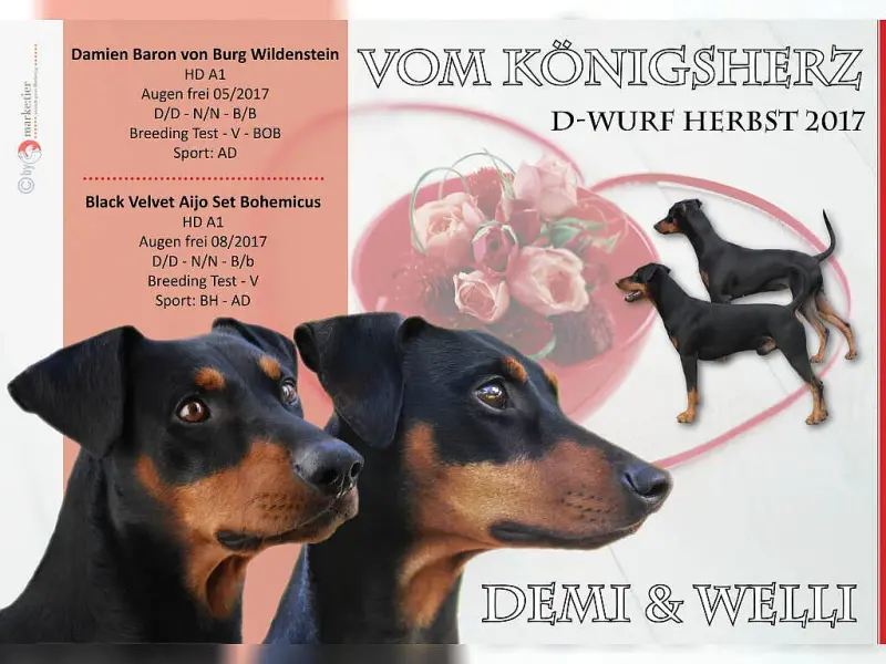 vom Königsherz