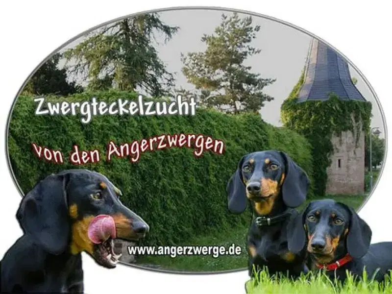 von den Angerzwergen