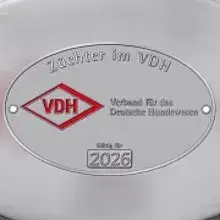 Vom Schönen Vogelsberg