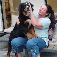 vom Berner Gutshof