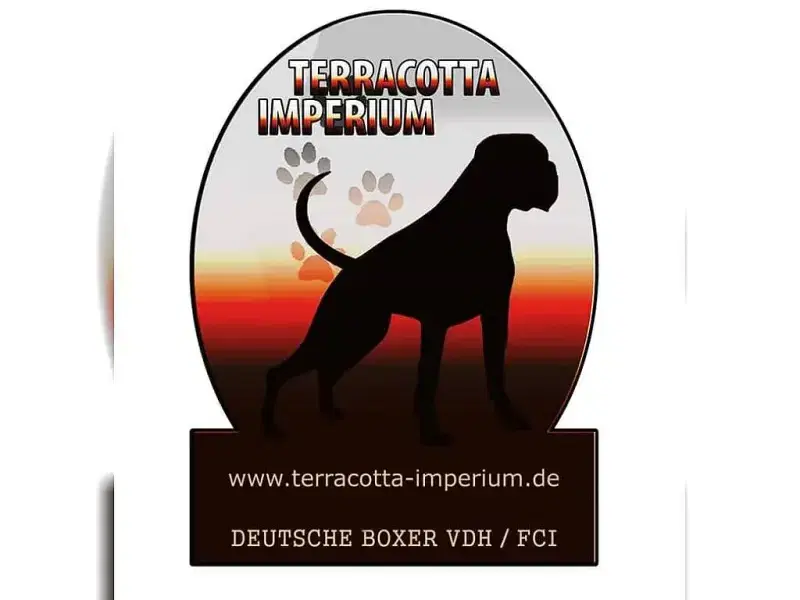 Terra-Cotta Imperium