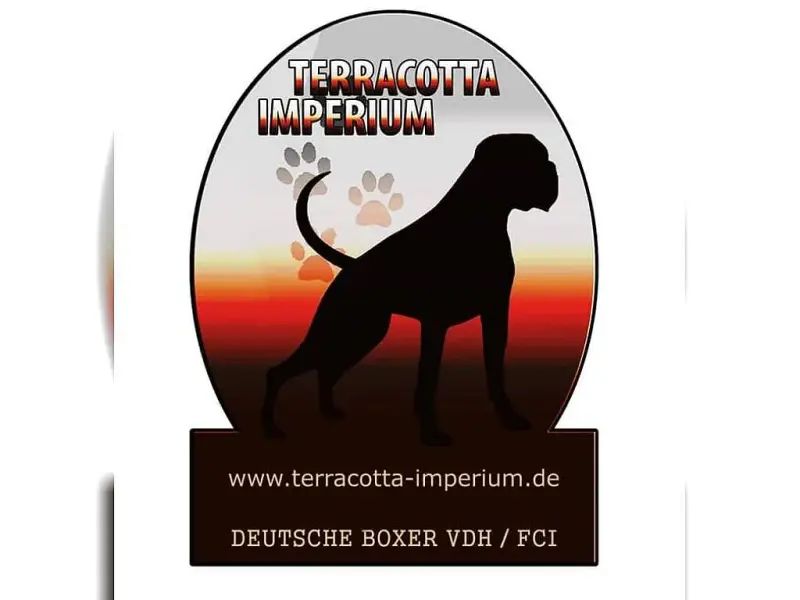 Terra-Cotta Imperium