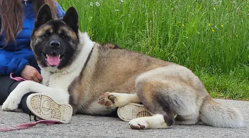 Aliens Beauty Kleopatra  - Bild 1