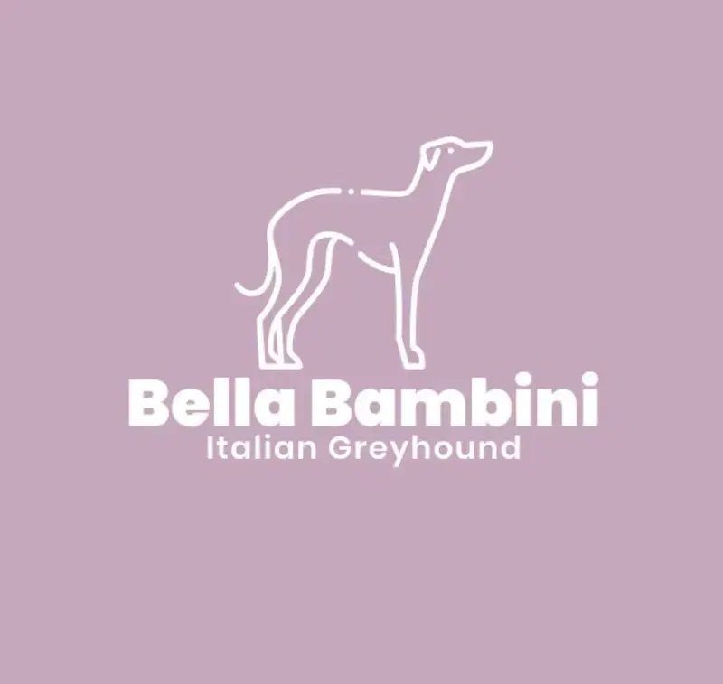 Bella Bambini  - Bild 1
