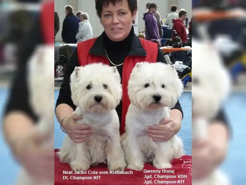 vom Krebsbach