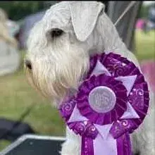 vom Ostfriesischenhochmoor