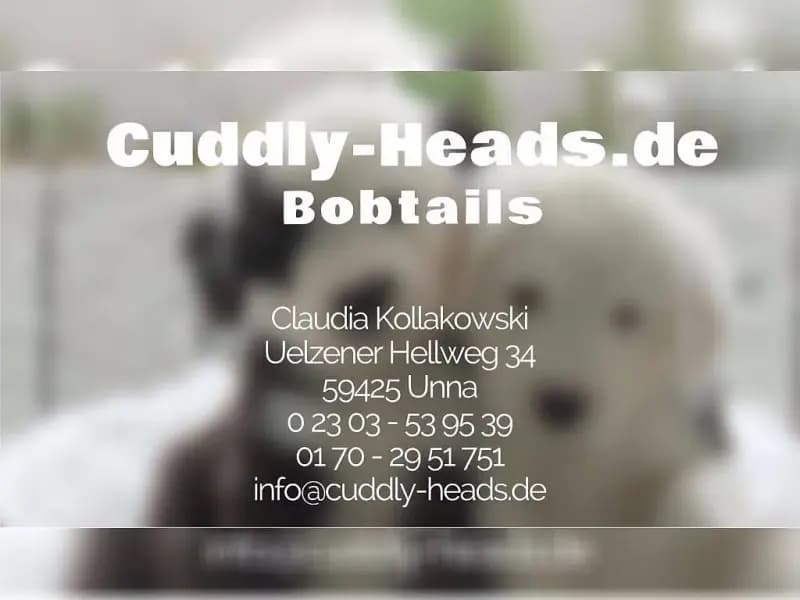 Cuddly Heads