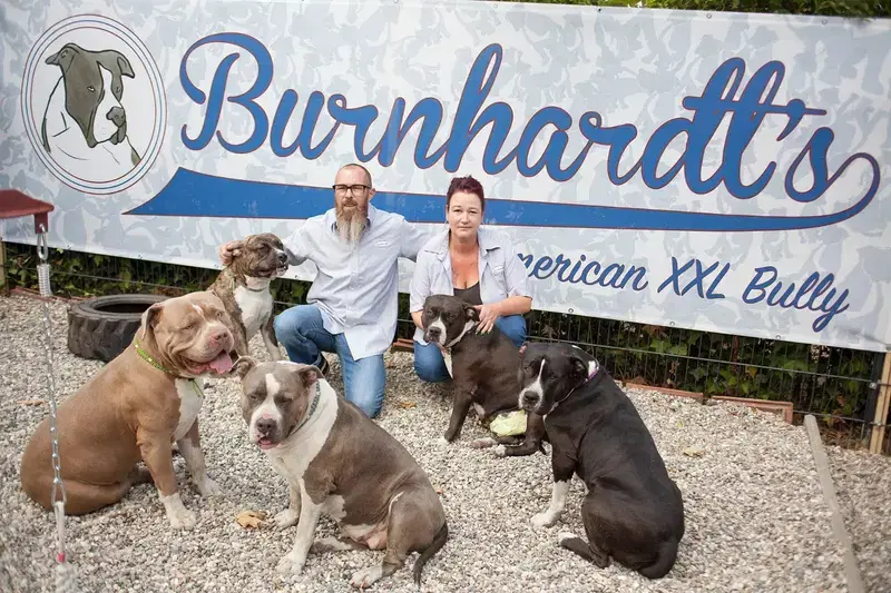 Burnhardt's American XXL Bully - Bild 1