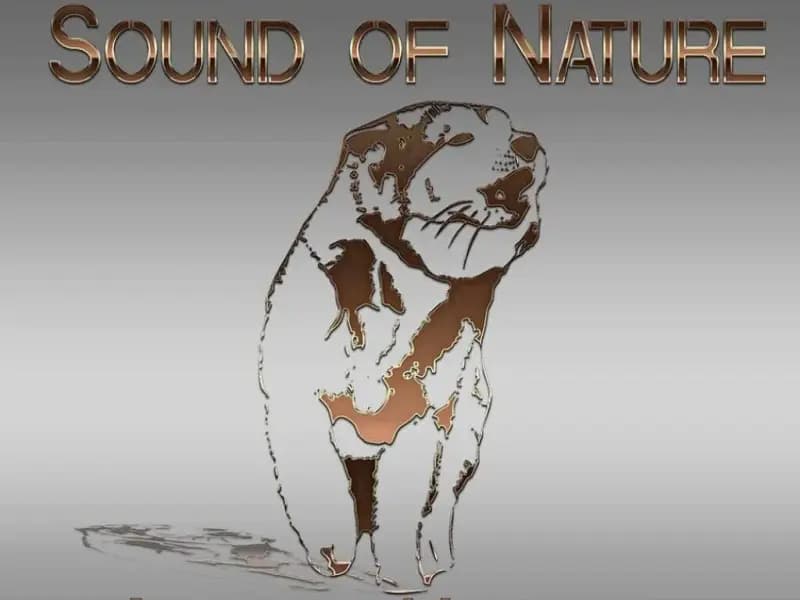 Sound of Nature