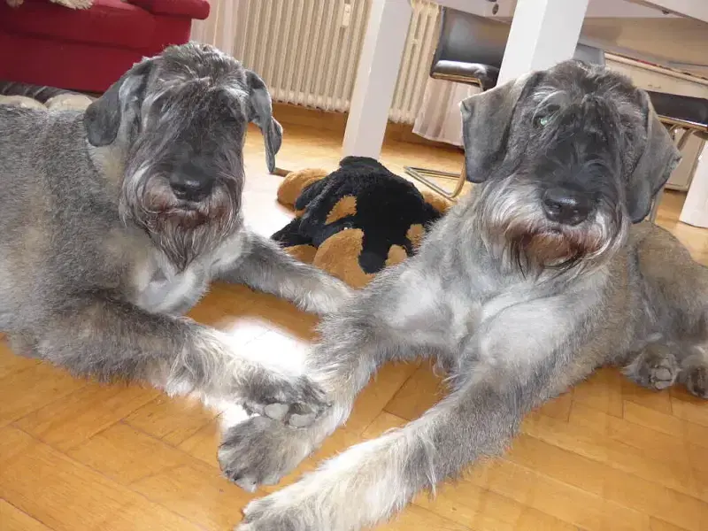 von den Höhenäckern