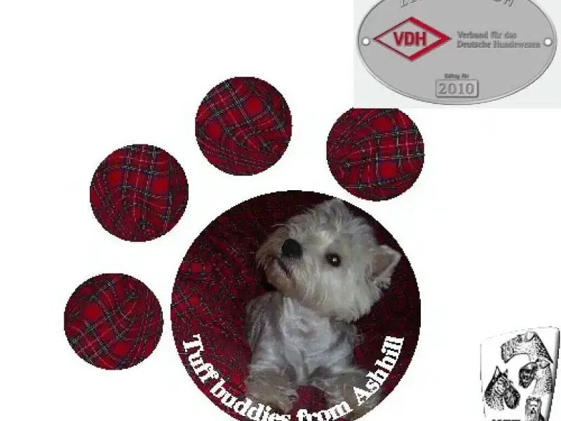 Tuff buddies from Ashhill