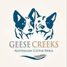 Geese Creek’s
