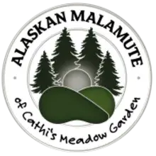 of Cathi’s meadow garden
