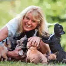 Hessen Frenchies