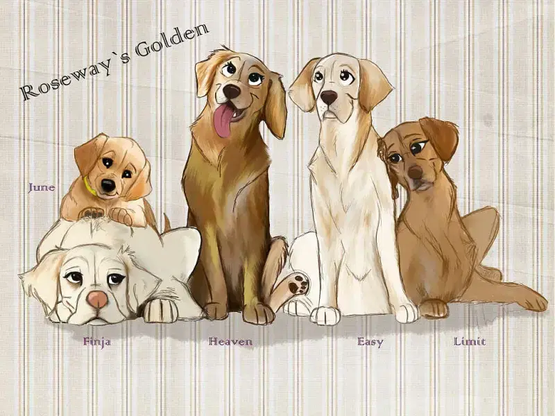 Roseway’s Golden