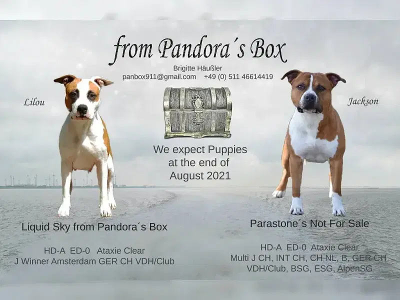 from Pandora’s Box