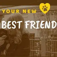 vom Casino Bond Royal