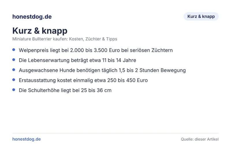 Miniature Bullterrier kaufen: Kosten, Züchter & Tipps Infografik: kurz & knapp