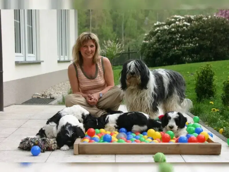 von Bohlmann’s Land