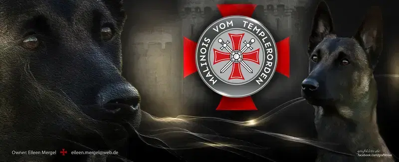Malinois vom Templerordern  - Bild 1