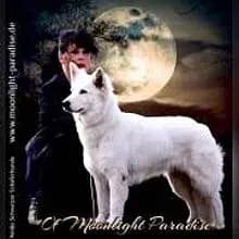 of Moonlight Paradise