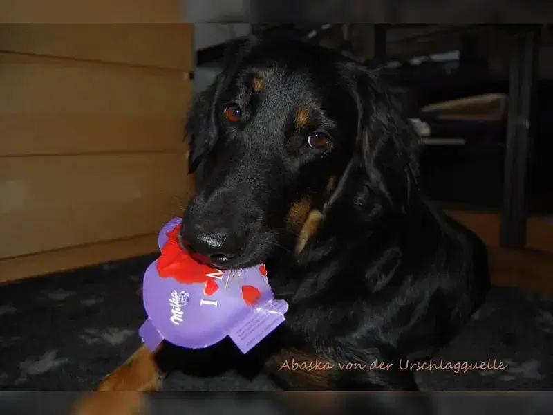 von der Urschlagquelle