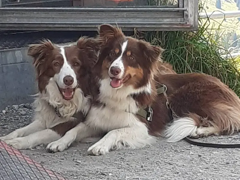 Full of Joy