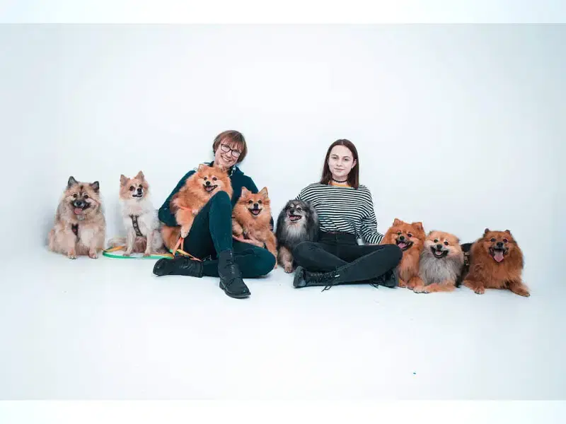 von den Drei Hohen Birken