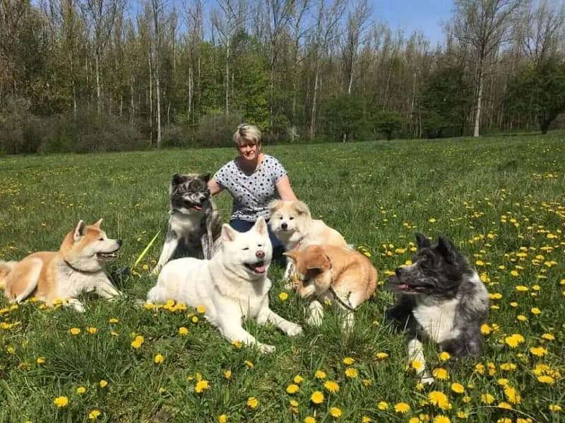 Mizumi no inu kensya