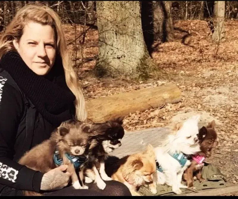 Chihuahuas von den Hellbergen  - Bild 1