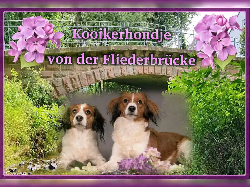 von der Fliederbrücke