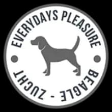 Everydays Pleasure
