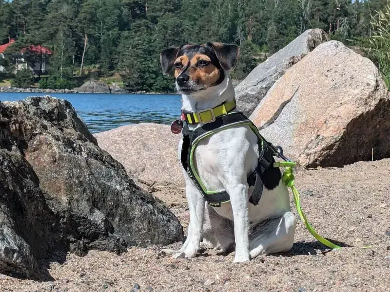 von Sabinchen Kunterbunt