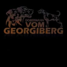 vom Georgiberg