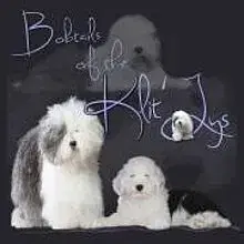 of the Klit-Ly’s