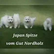 vom Gut Nordholz