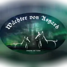 Wächter von Asgard