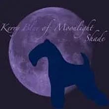 of Moonlight Shade