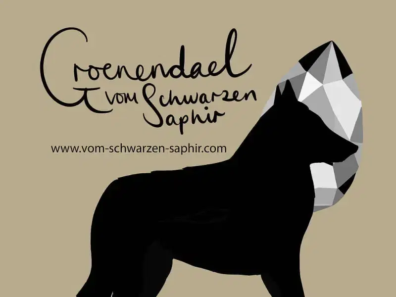 Vom Schwarzen Saphir
