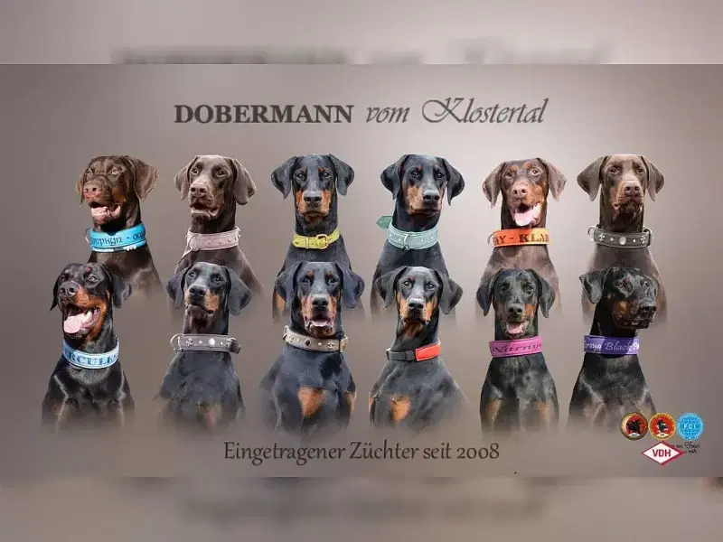 vom Klostertal