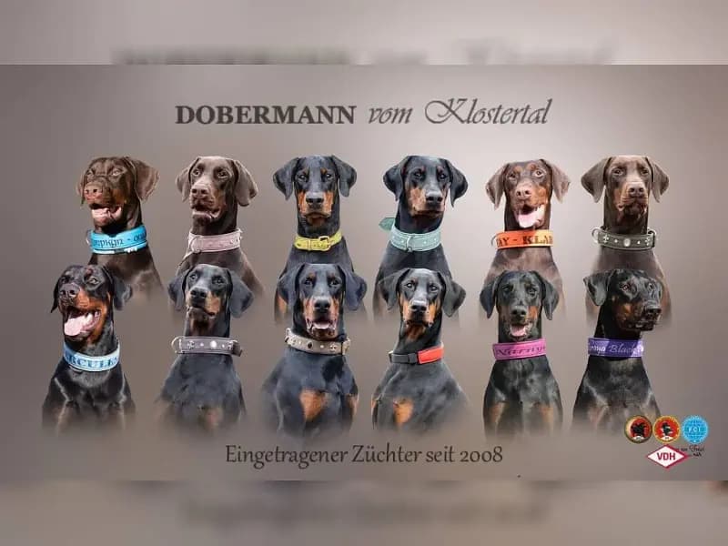 vom Klostertal
