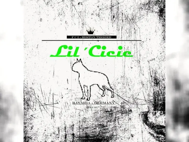 Lil’Cicie