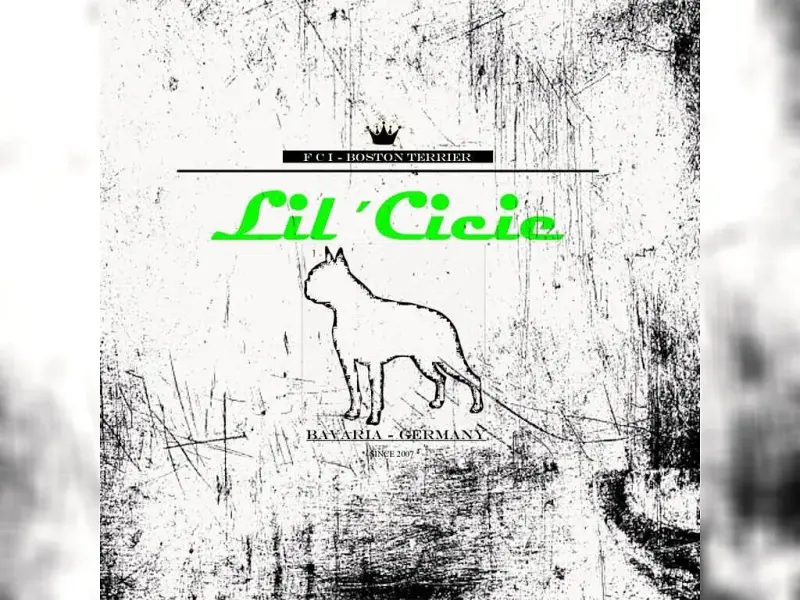 Lil’Cicie