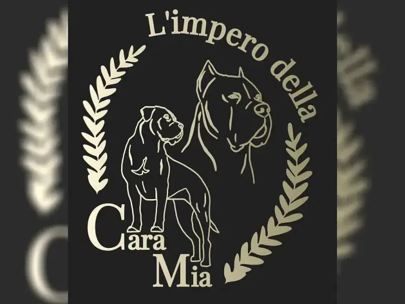 L’impero della Cara Mia