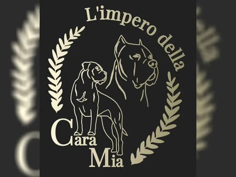 L’impero della Cara Mia