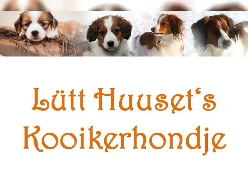 Lütt Huuset’s