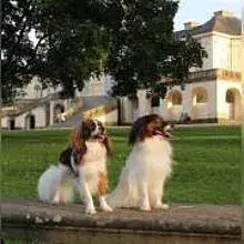 von den Solitude-Arkaden