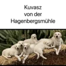 von der Hagenbergsmühle