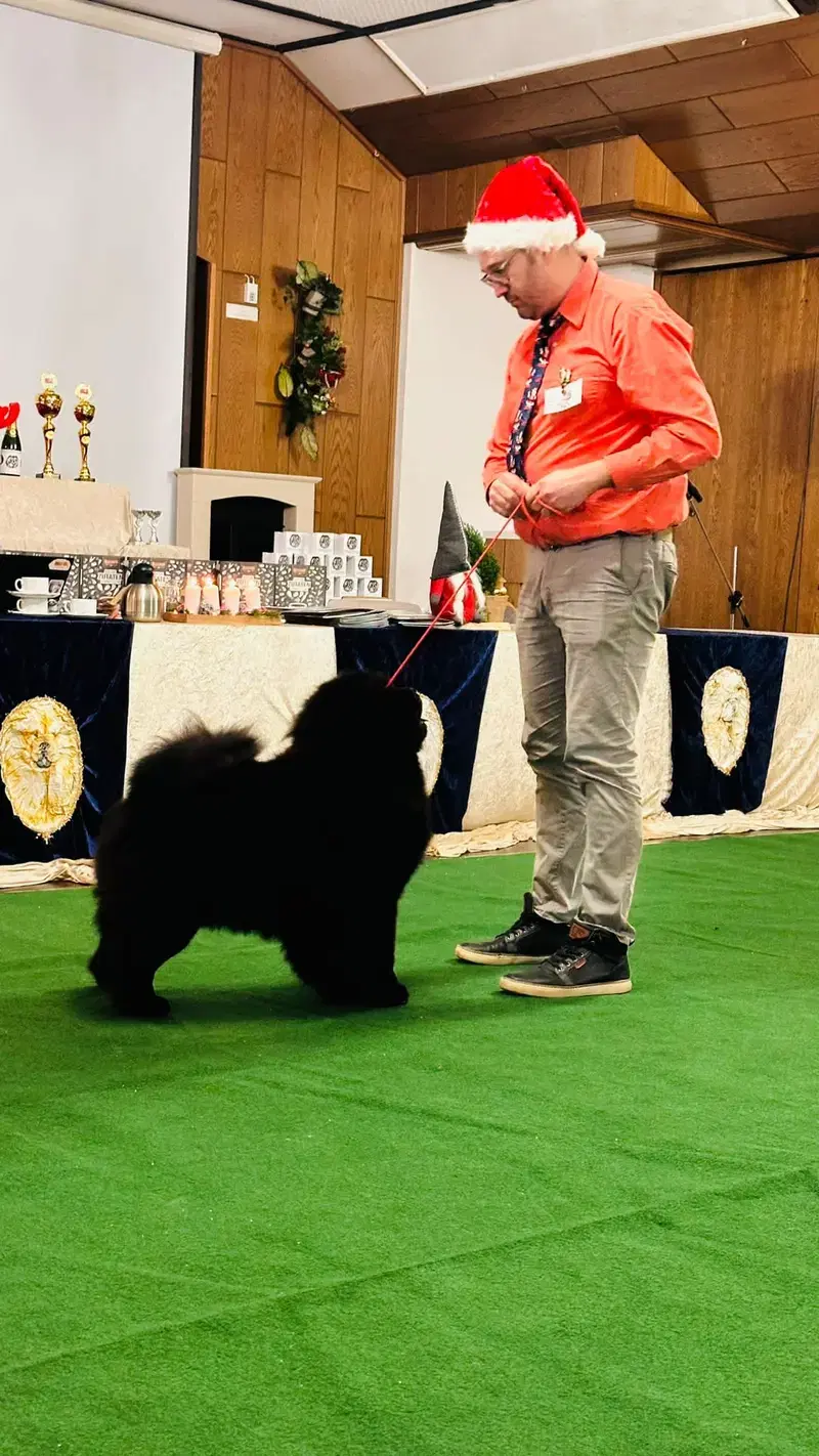 Muffinvelvet kennel - Bild 1